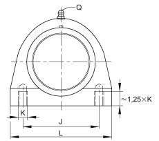 直立式軸承座單元 PSHE35-TV-FA125.5, 塑料軸承座，帶偏心鎖圈的外球面球軸承，帶 Corrotect? 涂層，P型密封
