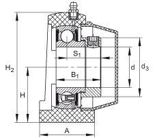 直立式軸承座單元 PSHE35-TV-FA125.5, 塑料軸承座，帶偏心鎖圈的外球面球軸承，帶 Corrotect? 涂層，P型密封