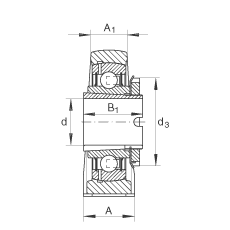 直立式軸承座單元 RASEA25-N, 鑄鐵軸承座，帶緊定套的外球面球軸承，R 型密封