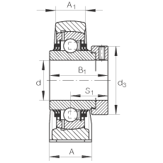 直立式軸承座單元 TSHE35-N, 鑄鐵軸承座，帶偏心鎖圈的外球面球軸承，T 型密封