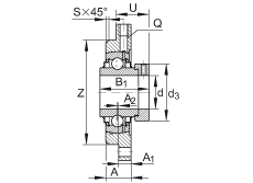 軸承座單元 RMEO100, 帶四個(gè)螺栓孔的法蘭的軸承座單元，鑄鐵，定心凸出物，偏心鎖圈，系列 63，R密封
